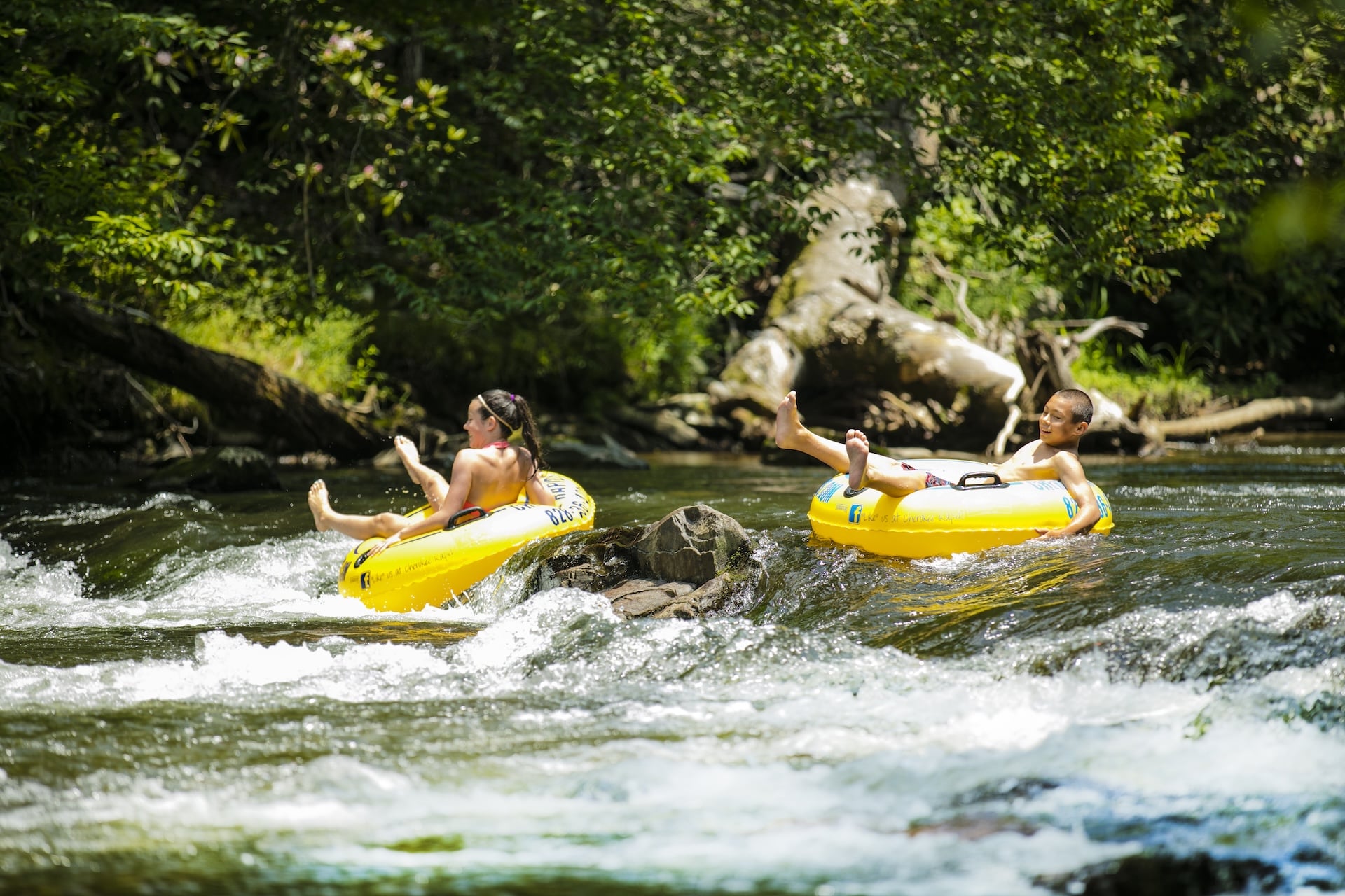 Families enjoy an exciting tubing trip down the river surrounded by lush forest in Cherokee, NC