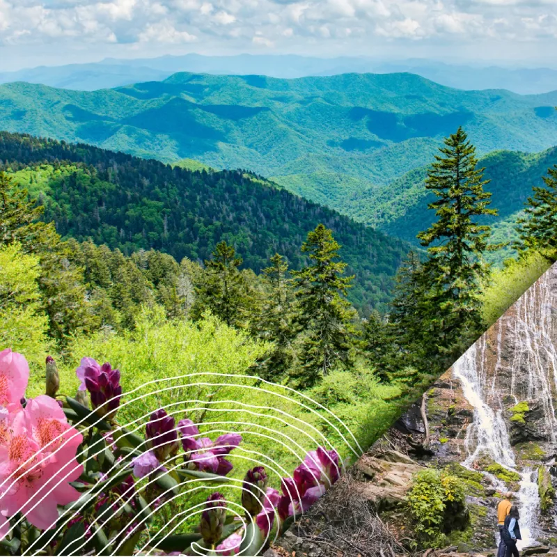 481660840 18487517329044959 9038490370288107462 n