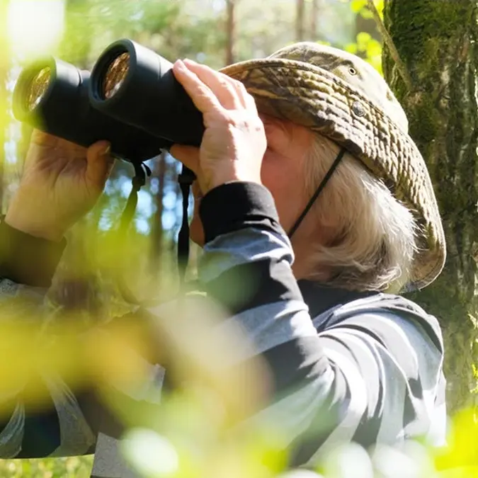 birdwatching