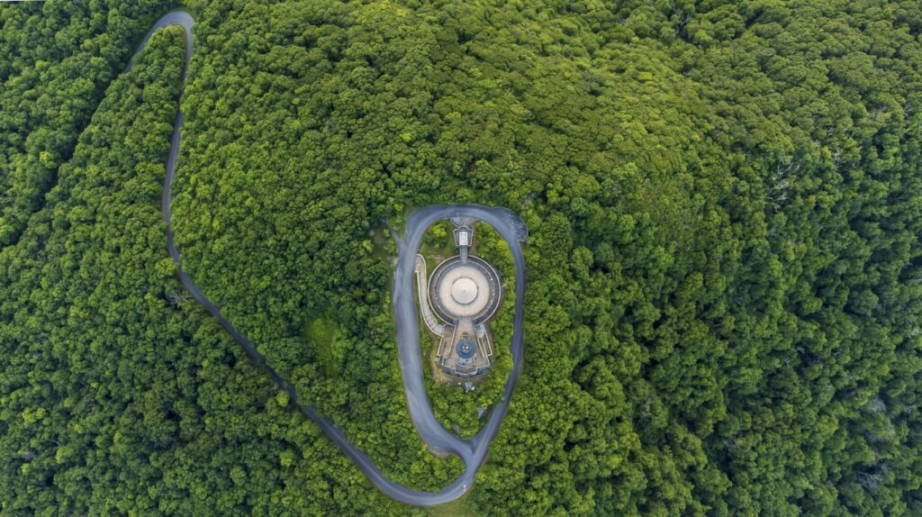 brasstown bald