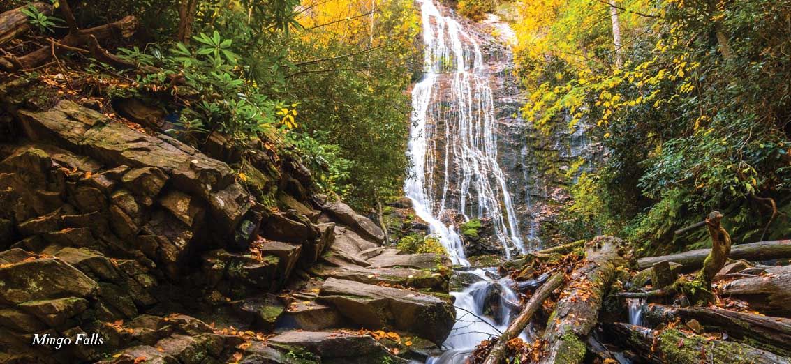 A scenic view of Mingo Falls, a cascading waterfall surrounded by autumn-colored trees and rocky terrain, with sunlight illuminating the lush forest.