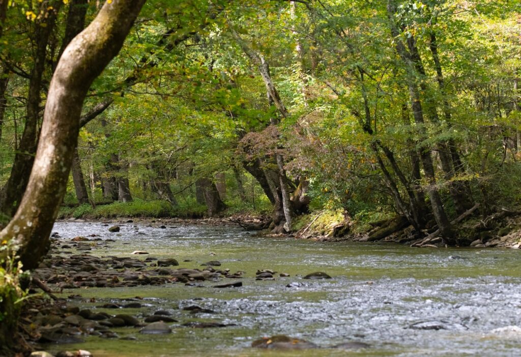 creek in cherokee