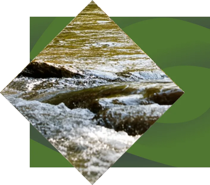 Closeup of river, on a green background.