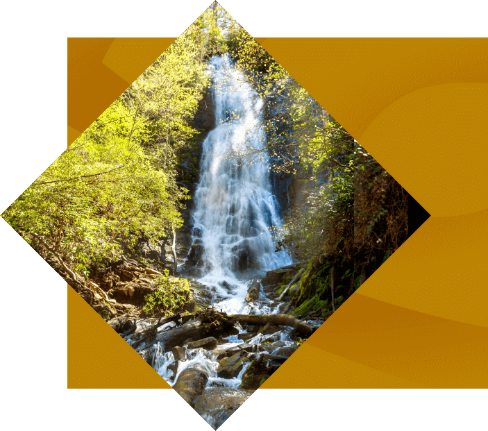 A cascading waterfall amidst lush greenery, known as Mingo Falls, displayed in a diamond-shaped frame against a yellow background. Sunlight filters through the trees, illuminating the falling water and rocky