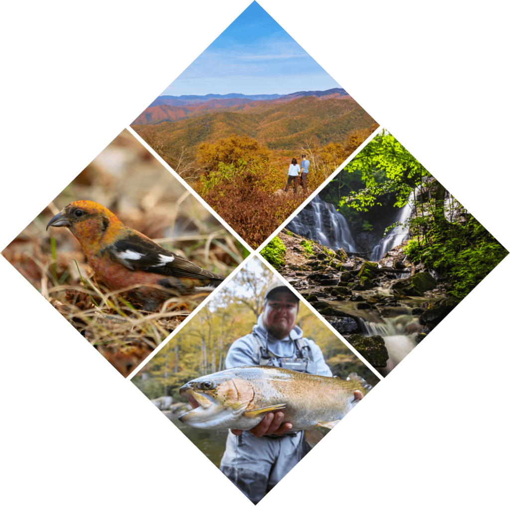 Large Diamond Collage Depicting Various Outdoor Activities in Cherokee NC
