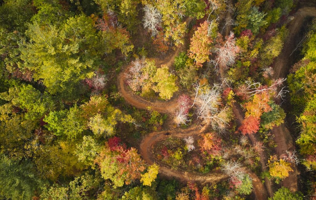 fire mountain trails