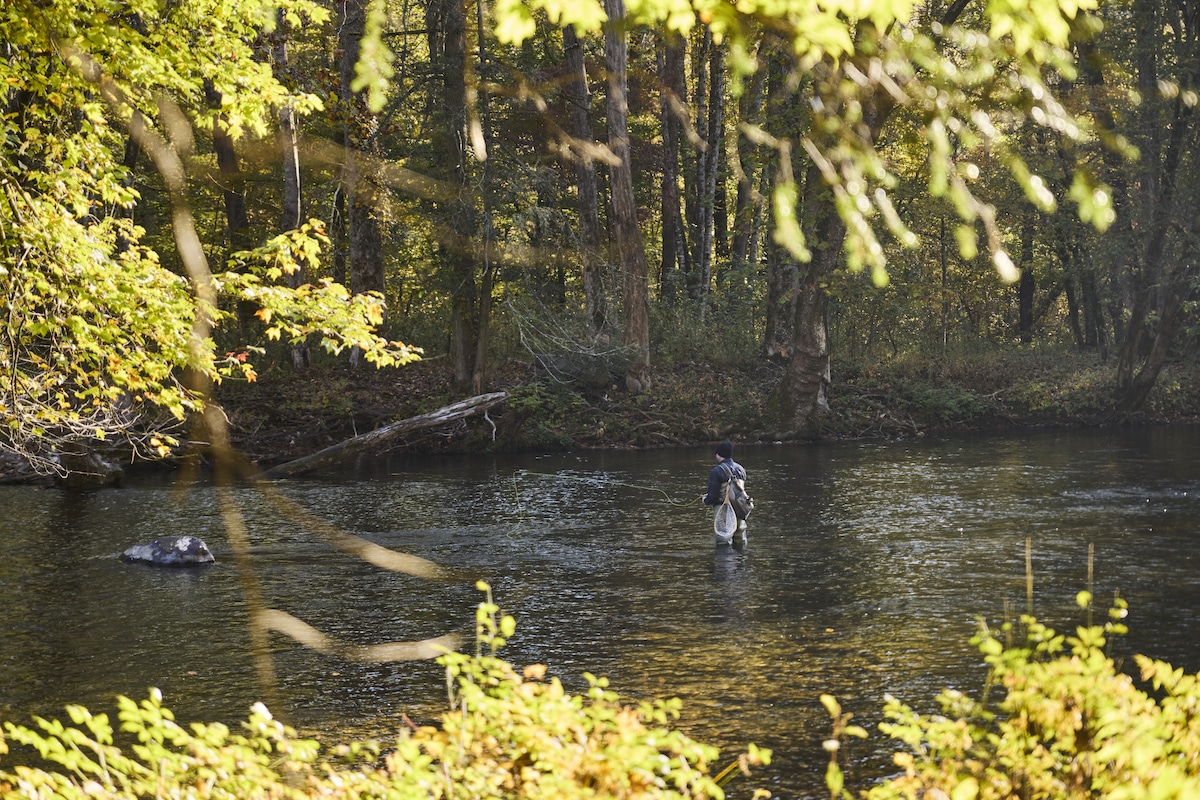 Image of a fisher in the Oconaluftee River