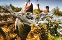 Cherokee Fisheries & Wildlife Management