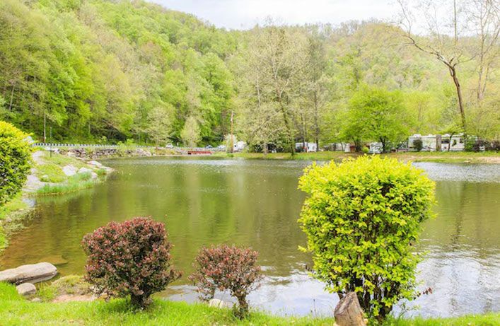 fishpond in Cherokee North Carolina