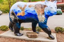 colorful bear sculpture from Cherokee Bears Project forefathers bear