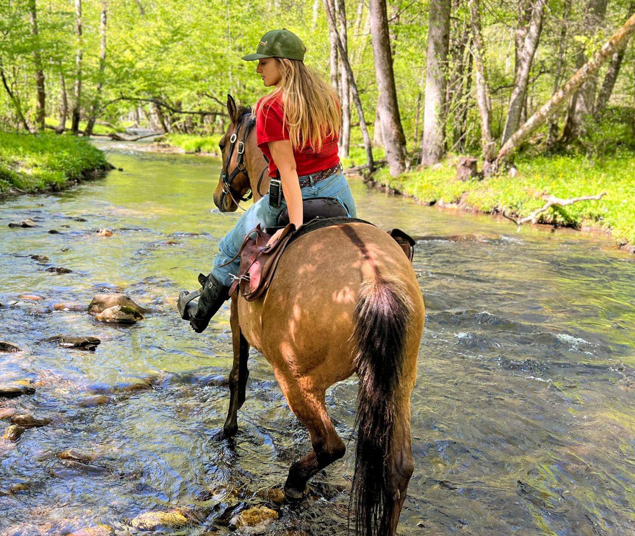 woman riding a horse through the oconaluftee river