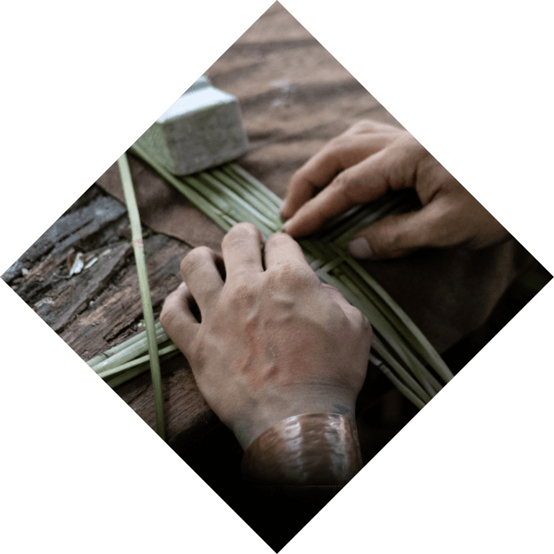 Close-up of hands skillfully weaving a basket, focusing on the detailed work of artists aligning thin wooden strips.