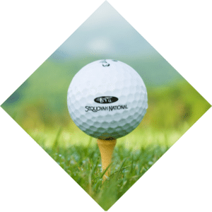 Harrah’s Cherokee Casino Resort Hotel | Visit Cherokee NC