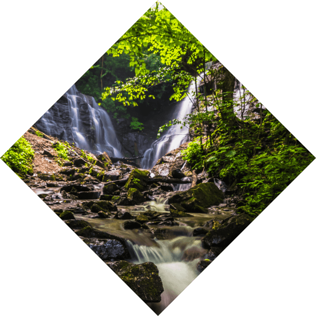 A diamond-shaped image of a lush waterfall surrounded by vibrant green foliage, with water cascading over rocky tiers into a serene stream.
