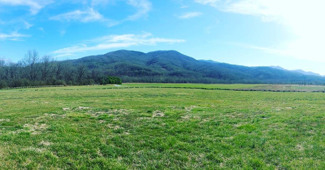 Panoramic view of a vast green field leading to a tree-lined mountain range near Kituwa under a clear blue sky.