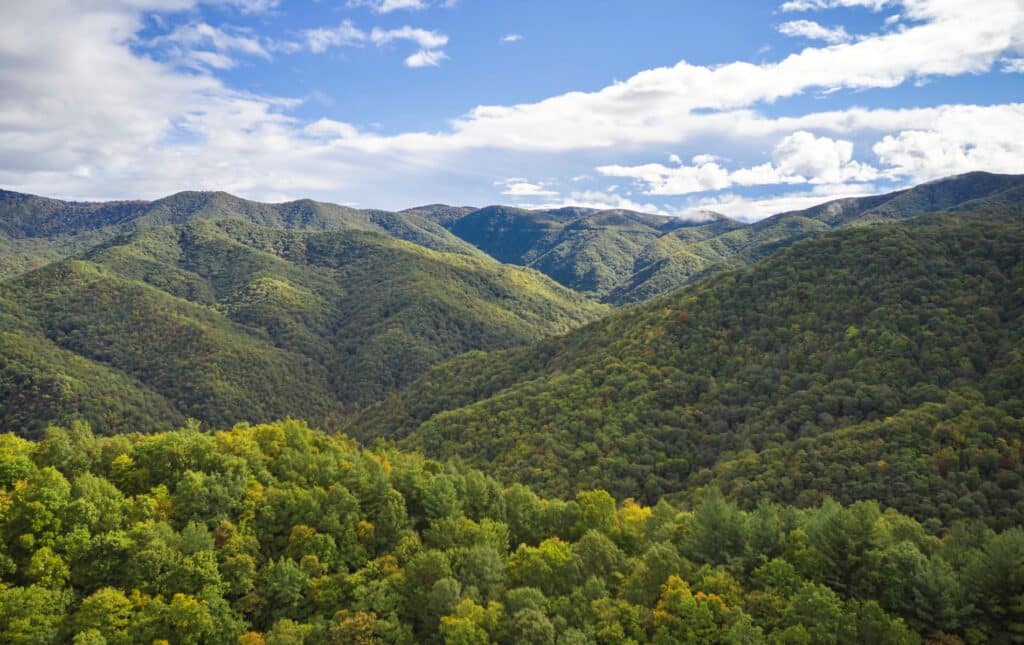 landscapes & nature39