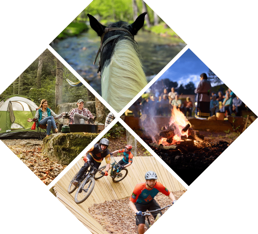 Collage of outdoor activities: top view of a horse’s head from behind, a couple camping by a tent, people gathered around a campfire, and cyclists riding on a forest trail. Perfect for