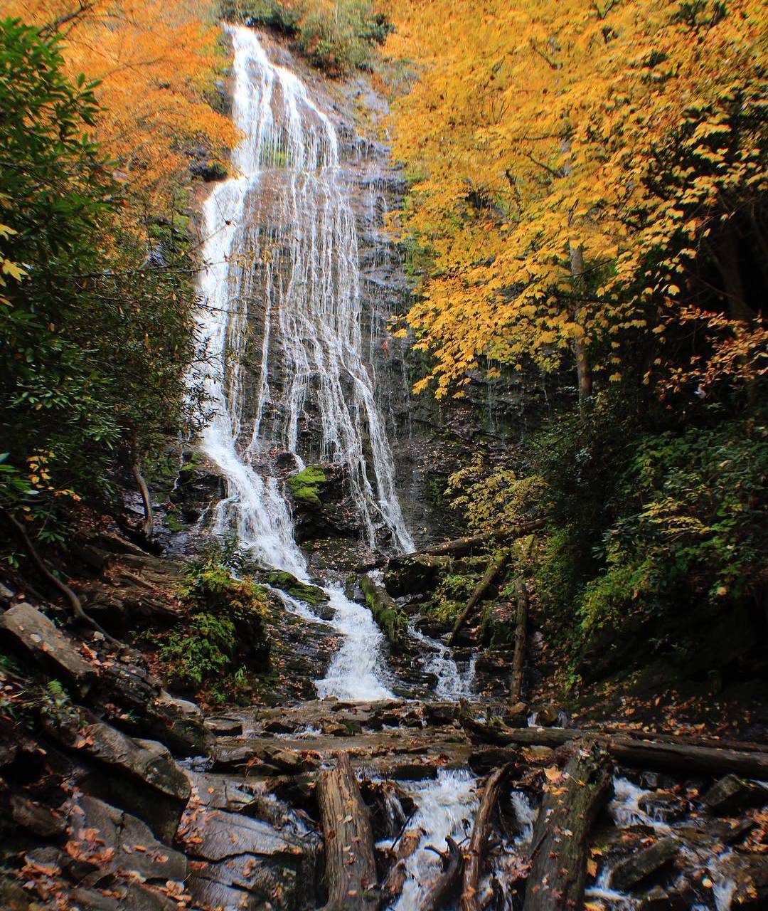 A scenic waterfall cascades down a rocky cliff surrounded by autumn-colored trees, with fallen logs and rocks in the foreground, perfect for fall winter travel.