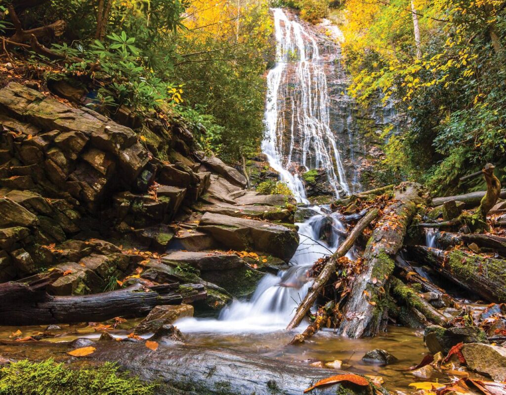 A serene waterfall cascades down a rocky cliff surrounded by autumn-colored trees, with a clear stream flowing over scattered logs and rocks in the Cherokee forest.
