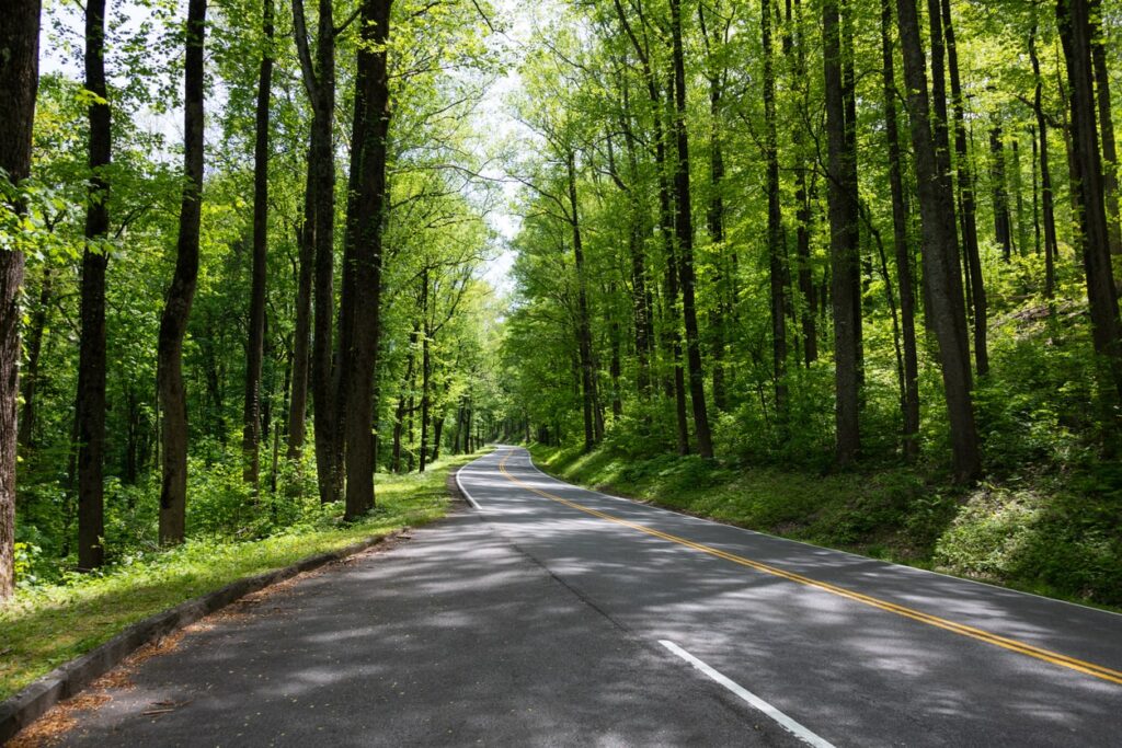newfound gap road