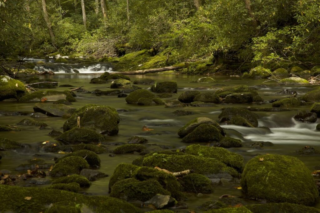 oconaluftee river trail