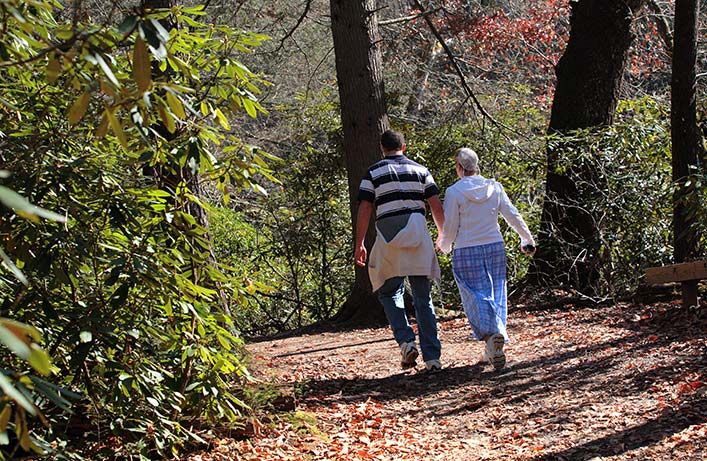 a couple walks hand in hand on a sunlit forest path along the oconaluftee river trail, surrounded by greenery and fallen leaves, with one person wearing a striped shirt and the other