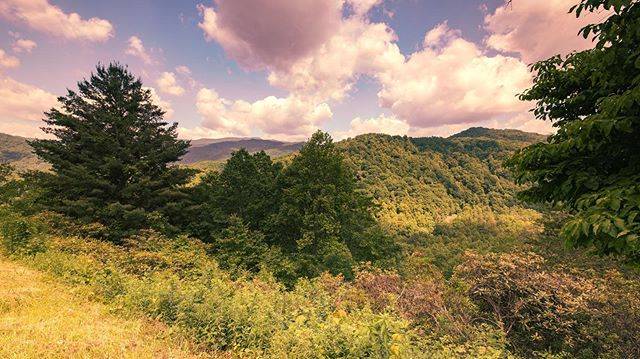 Raven Fork Overlook