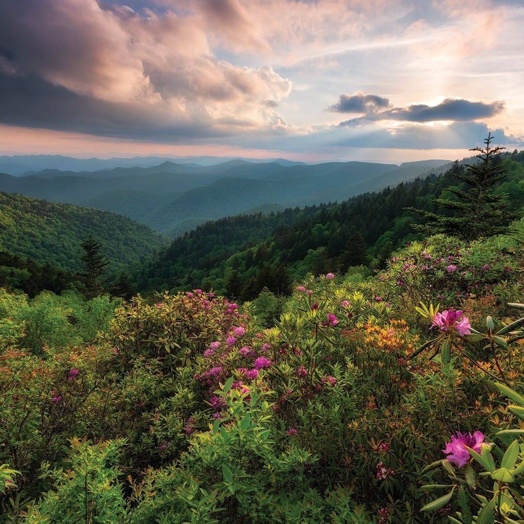 richland balsam overlook