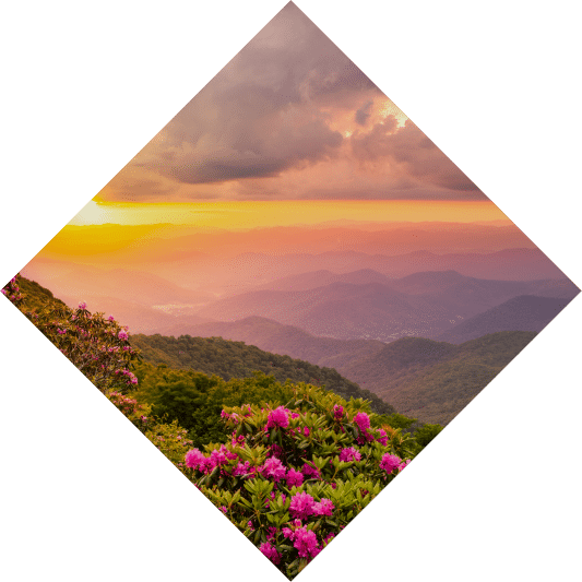 A diamond-shaped image of a sunset view over mountain ranges with foreground pink wildflowers and a colorful sky transitioning from orange to purple.