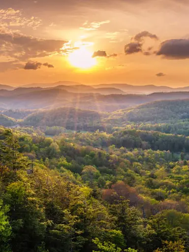 sunset view over a forest 1
