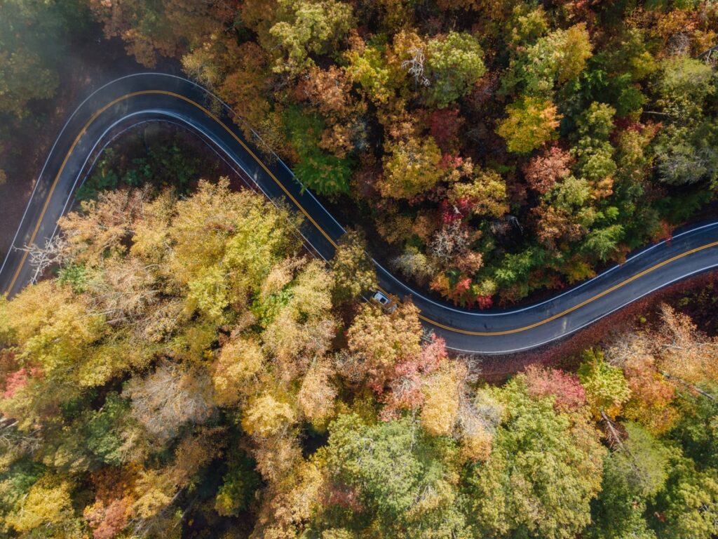tail of the dragon