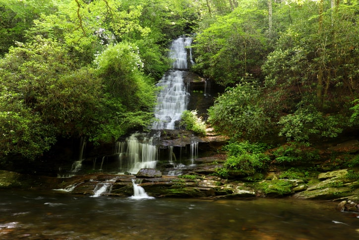 tom branch falls