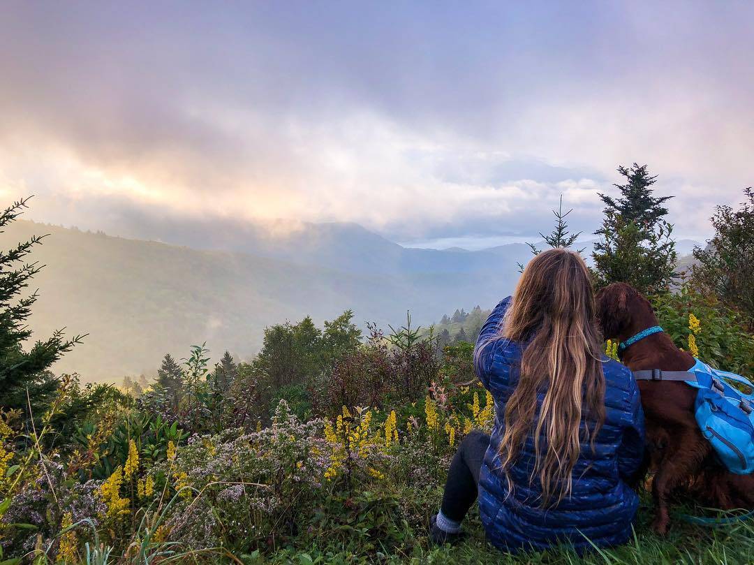 A woman and her dog sit looking out over a foggy, mountainous landscape at sunrise, with colorful wildflowers and lush greenery surrounding them as they enjoy Cherokee fall activities.