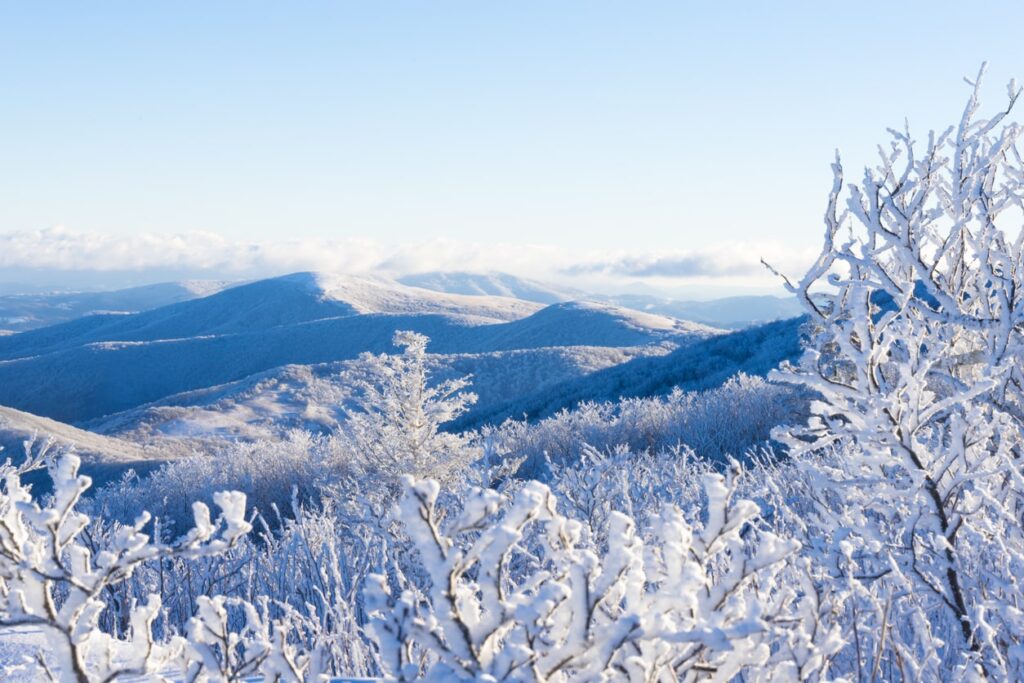 winter in the smoky mountains