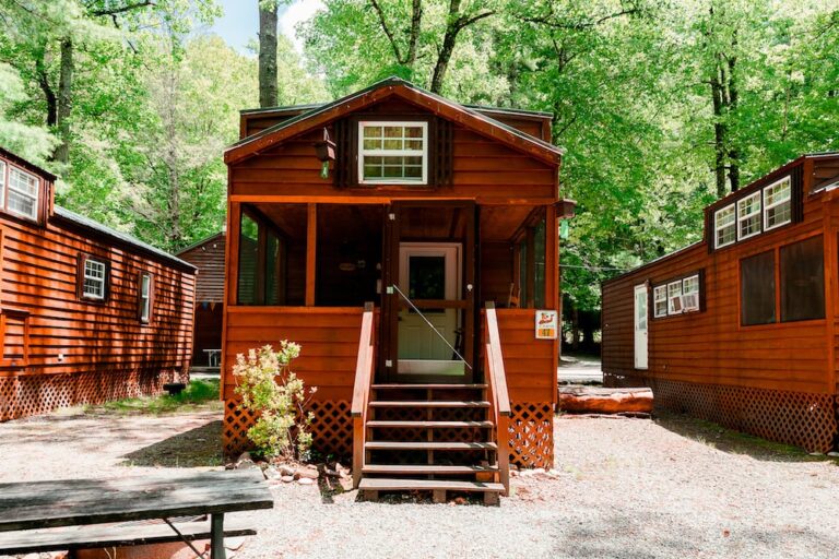 yogi in the smokies campaing and cabins